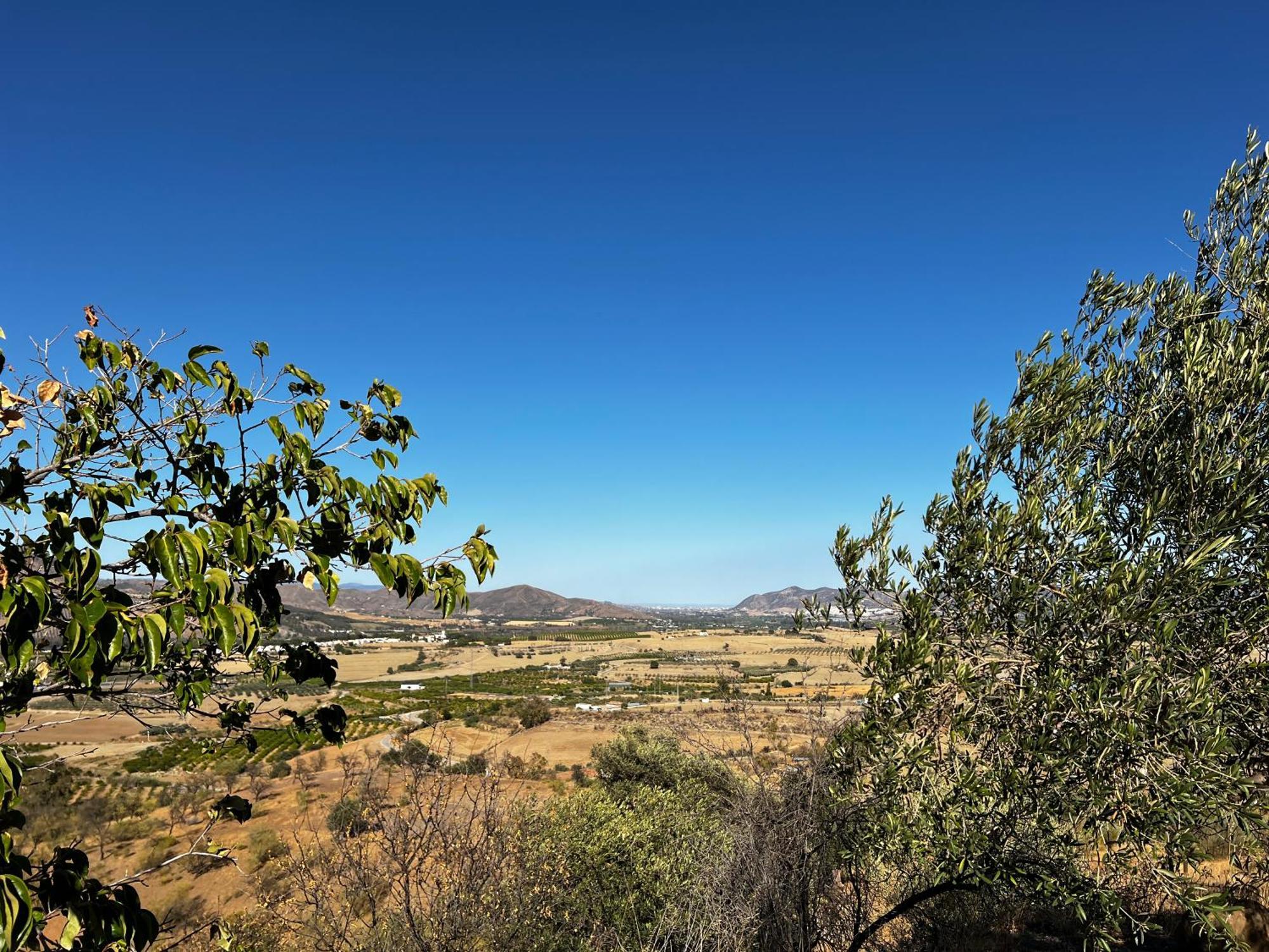 Santa Teresa Bed & Breakfast Andalusien Pizarra Exterior photo
